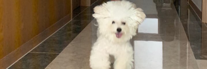 Yoonseo Choi's banner