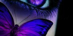 EyeFlutterby's profile banner image