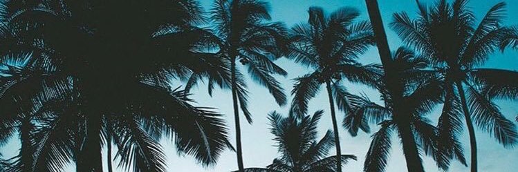 Steven Giraita ヅ's banner