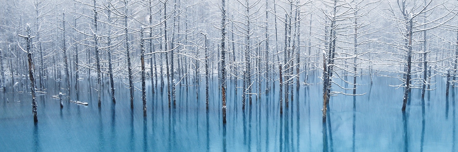 DragonTevfik's profile banner image