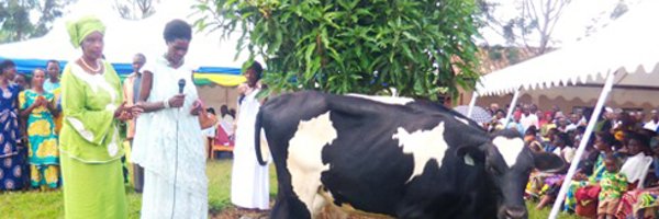 benimpuhwee Profile Banner