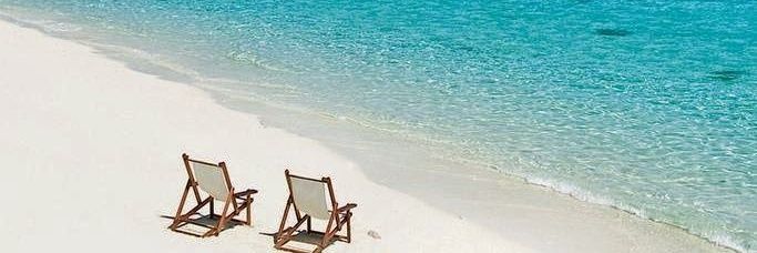 Crisco🥋🐘🐐🎩🏁🐒🍻🐟🏖🇺🇸 banner