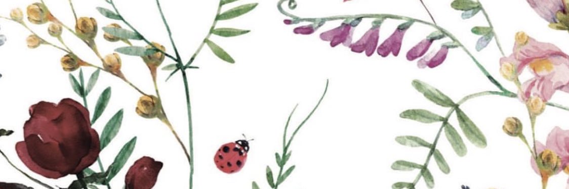 palomaandreu's profile banner image