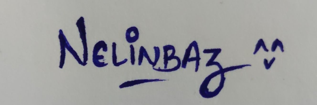NelinBaz banner