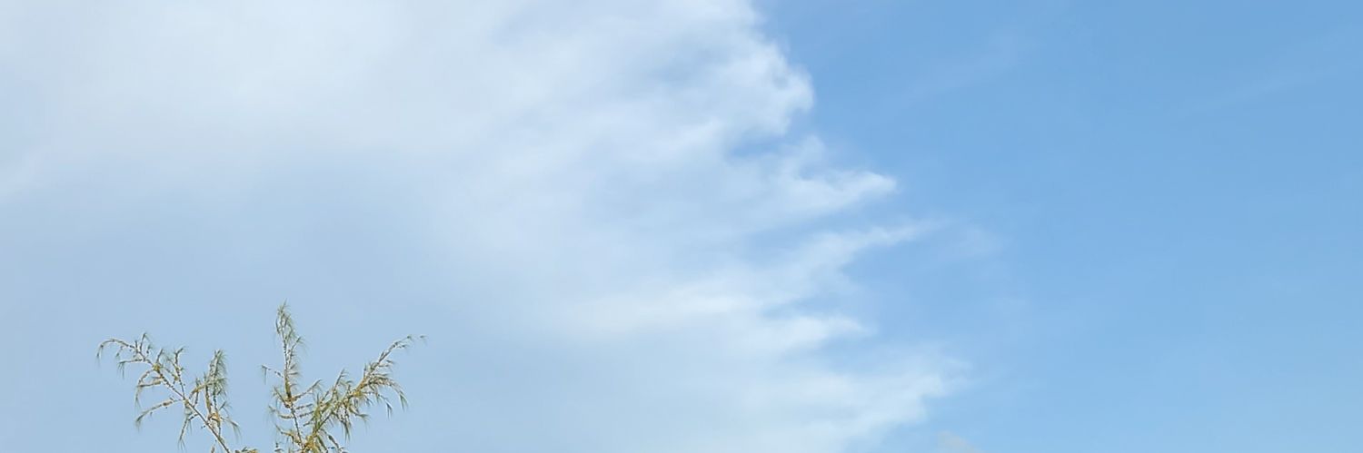 johnson70771's profile banner image