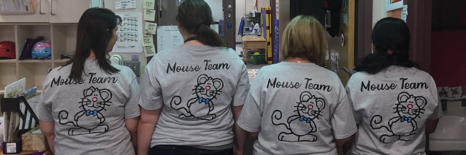 Lindsay Boten banner