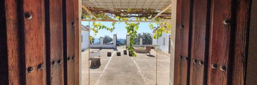 David Dorado Ráez banner