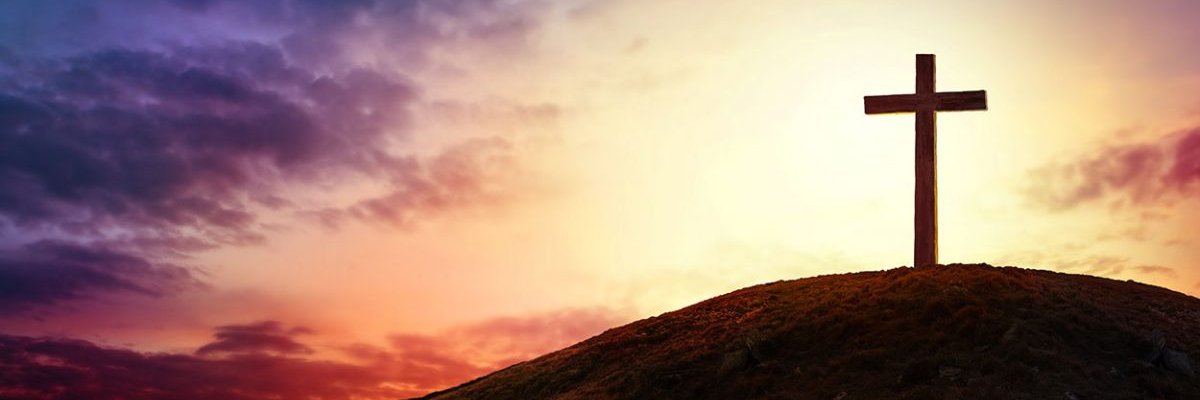Sans_voile's profile banner image