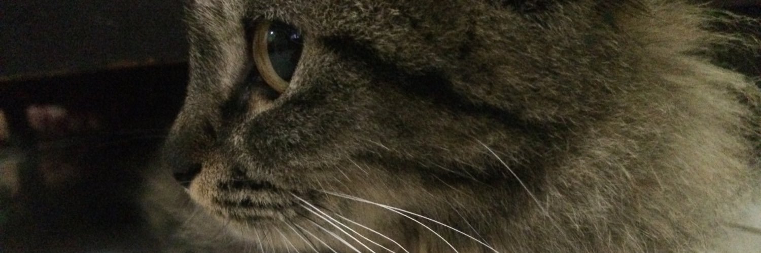 lemonafrisia's profile banner image
