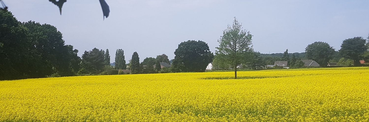 Frank Huizinga banner