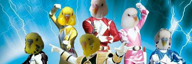gamavit31's profile banner image