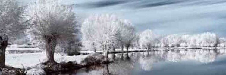 shadia12352's profile banner image
