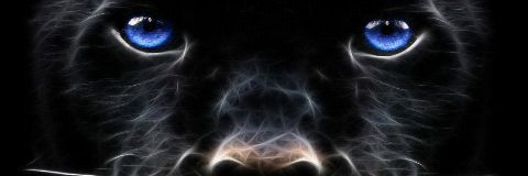 _Castellano69's profile banner image