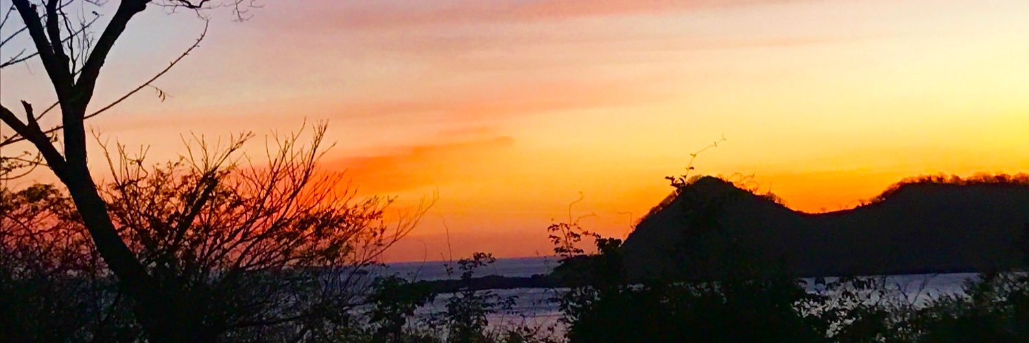 ⭐️bex schwartz banner