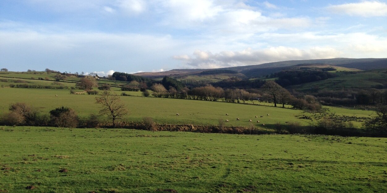 Charlotte Pawlyn banner