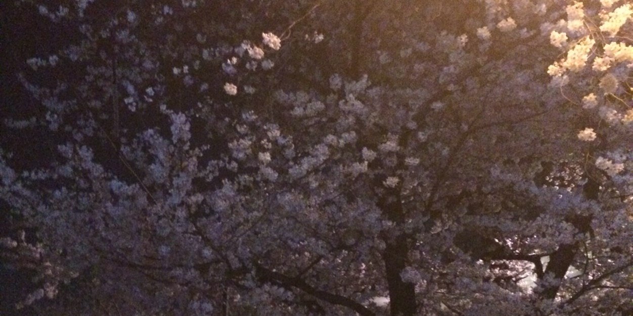 TsySy's profile banner image