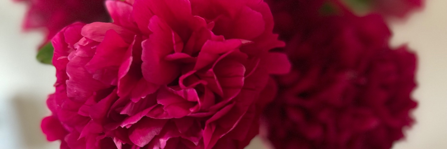 Unicorn 🦄 Kay banner