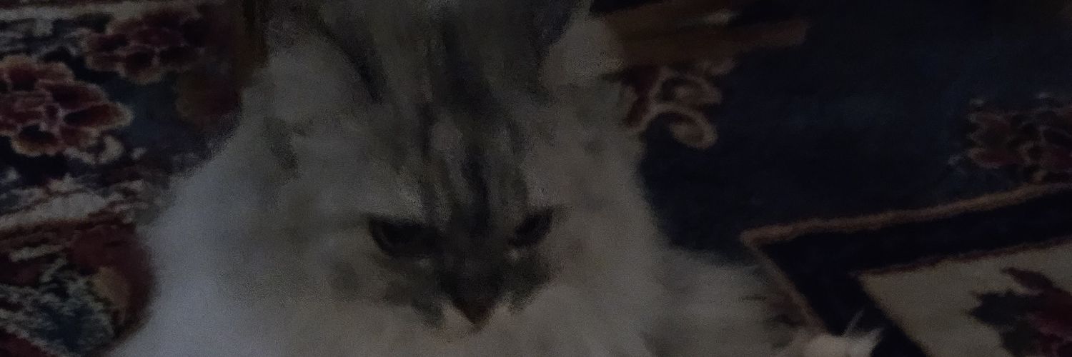 Someone banner