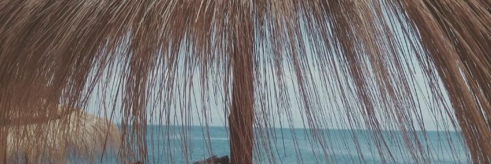 RaVinCha_'s profile banner image