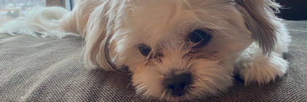 sadesmithauthor Profile Banner
