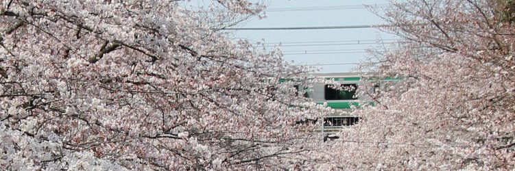 徘徊する老人 banner