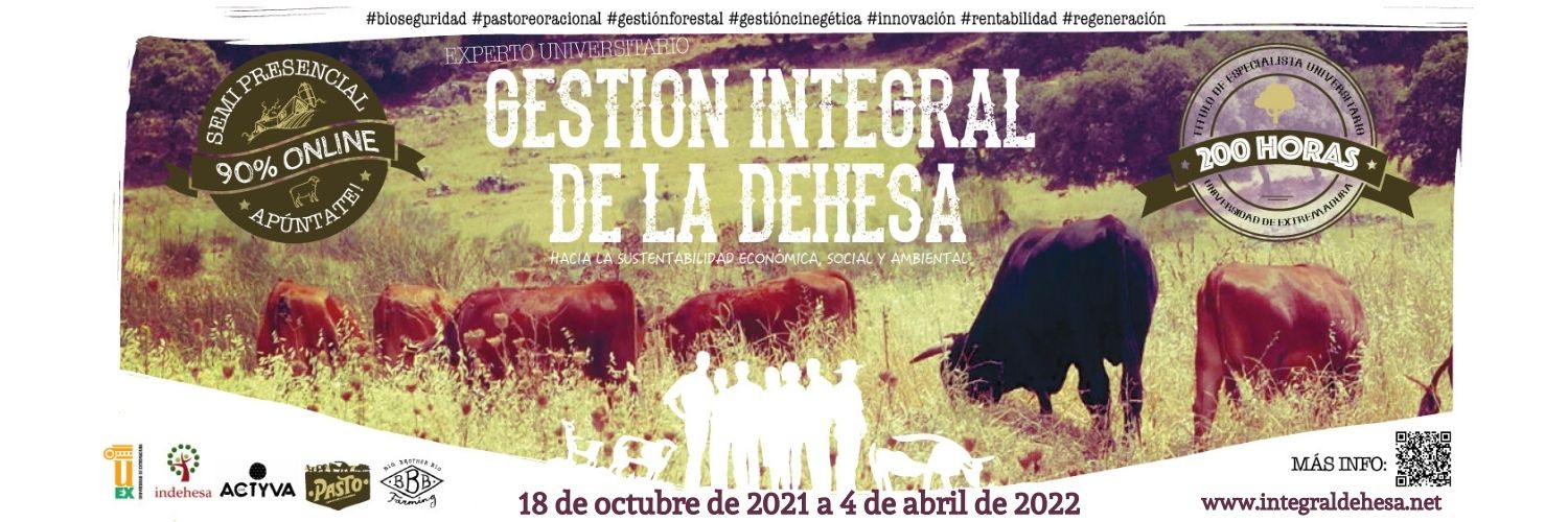 delaCiudadalCampo banner