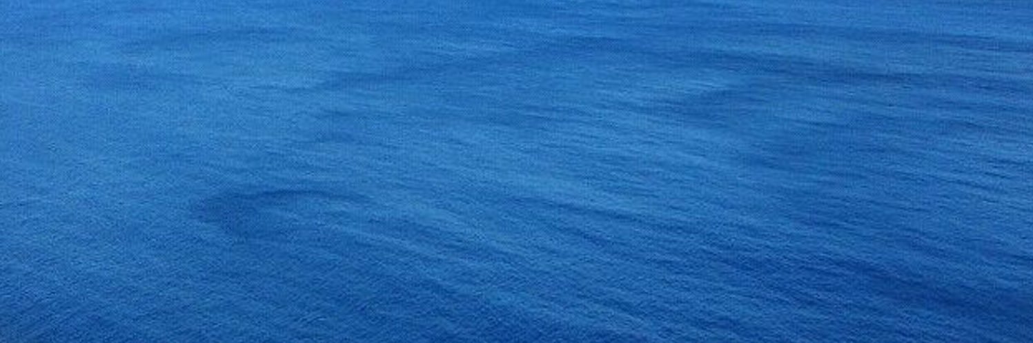 Aloha_Mahalo8's profile banner image