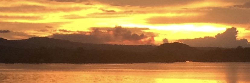 EdVescovi's profile banner image