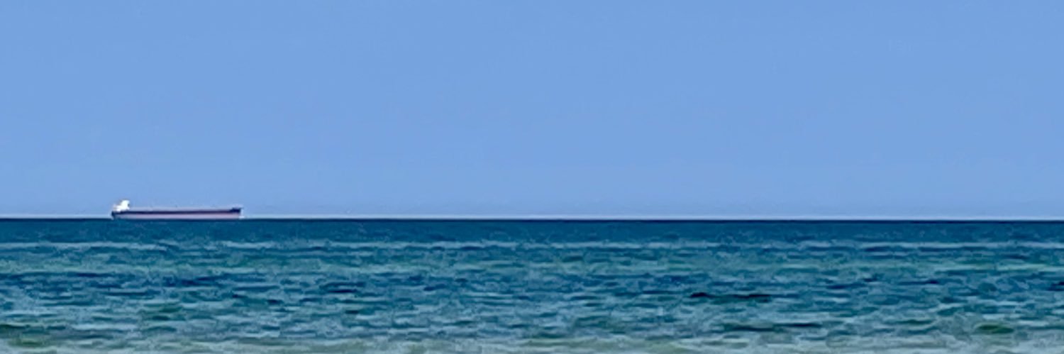 Janusz Mostowski banner