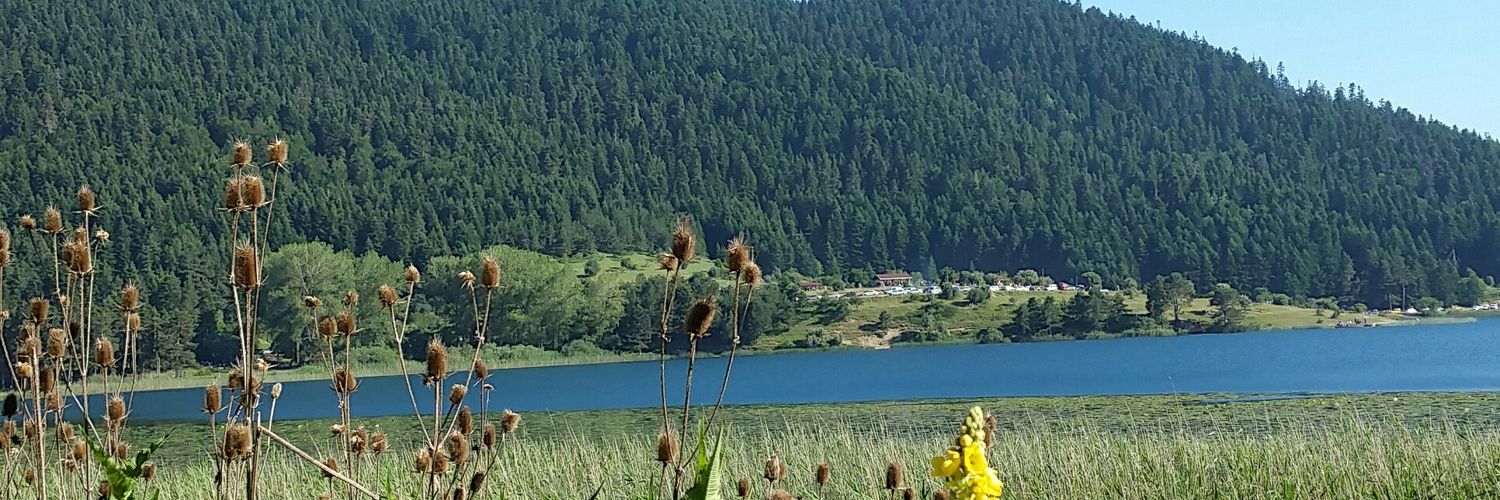 elkocak's profile banner image