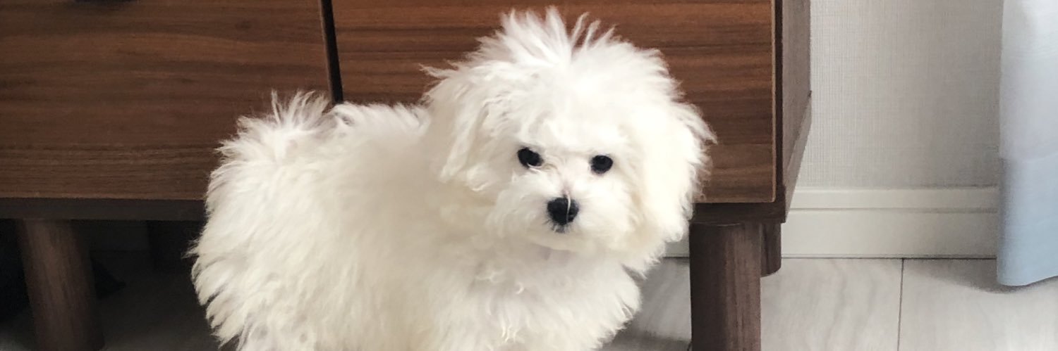 _sunoon_'s profile banner image