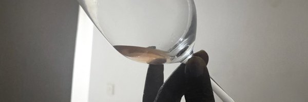 walenchism Profile Banner