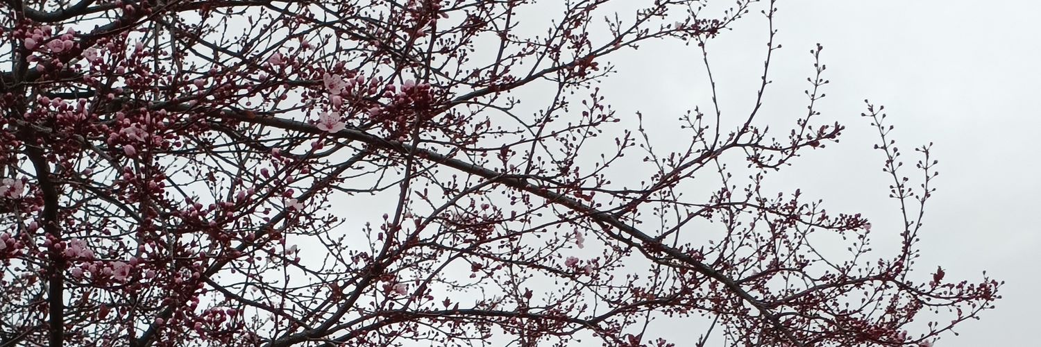 Juanito banner