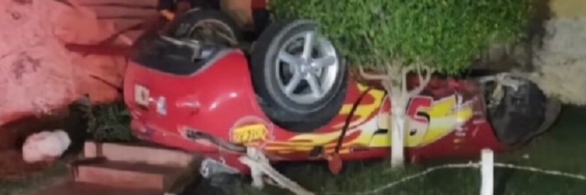 McQueen 🇵🇸 banner