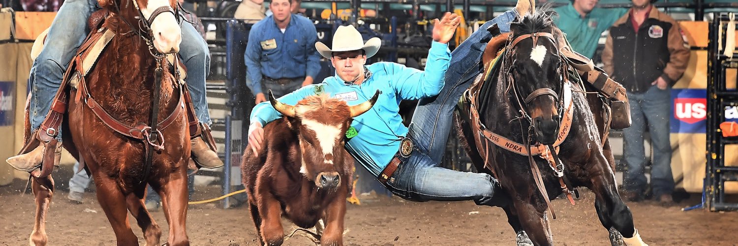 Robin Anderson banner