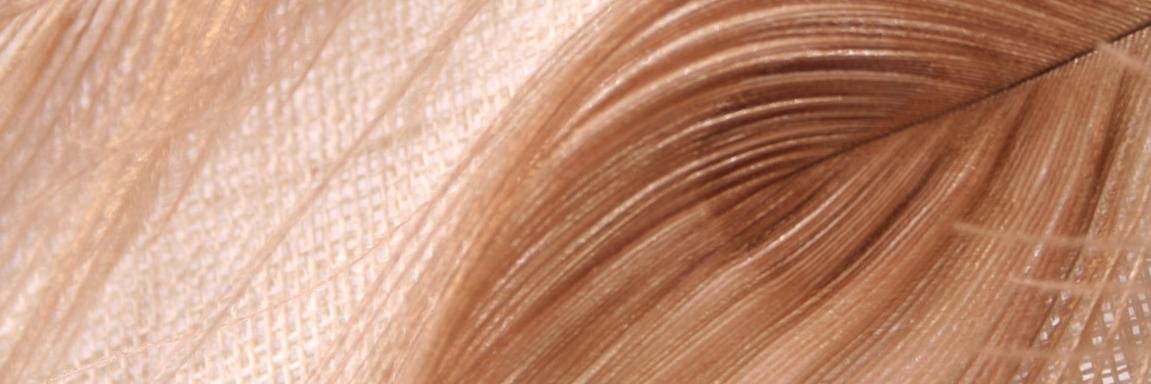 EmmaBodenLondon's profile banner image
