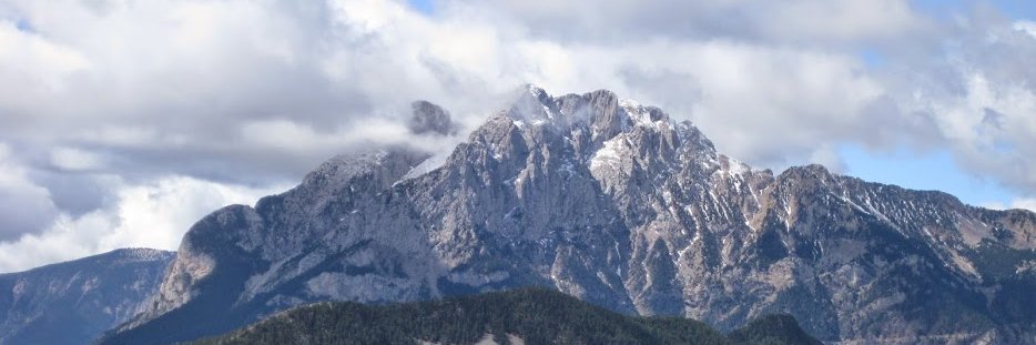 AEMartorell's profile banner image