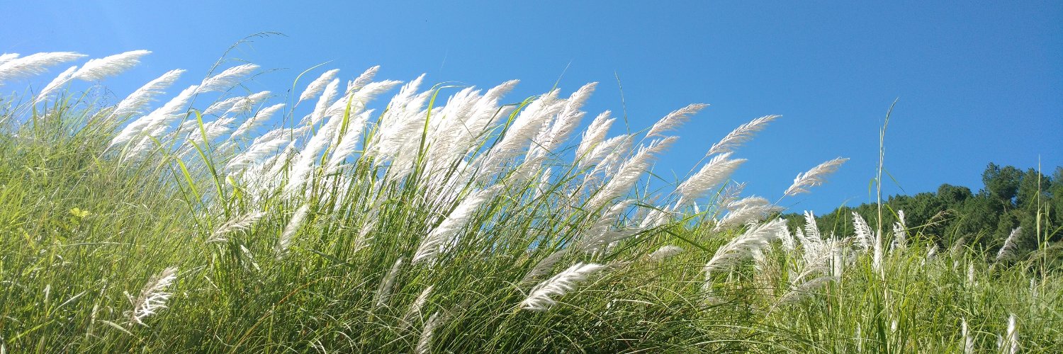 Narotam_Connect's profile banner image