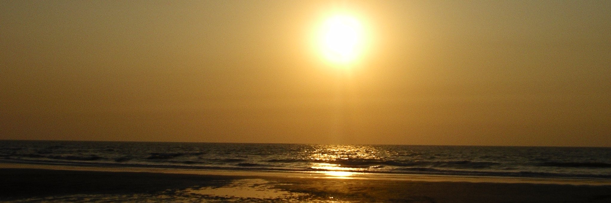 Viraj banner