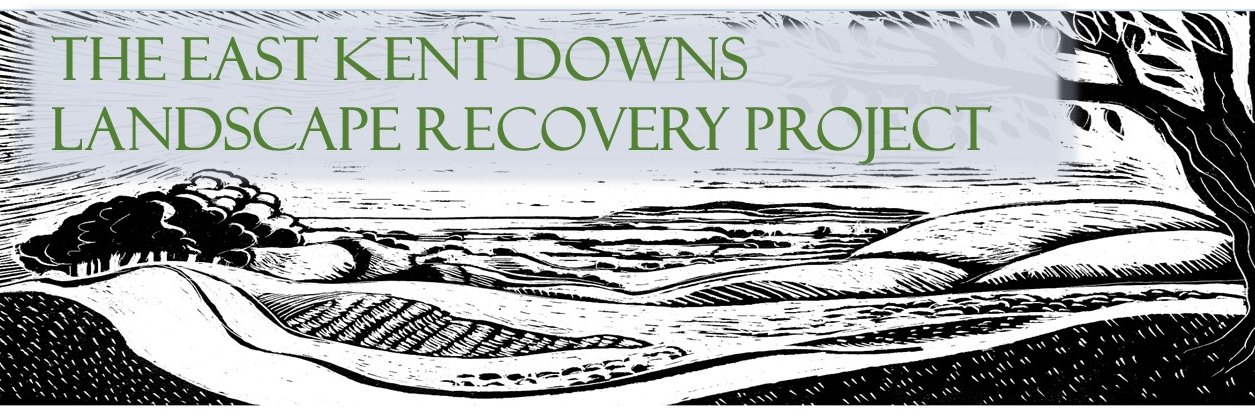Dan Tuson's banner