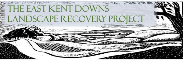 kentdowns6 Profile Banner