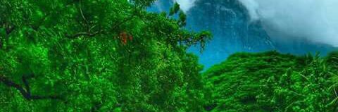 Shags_Abraham's profile banner image