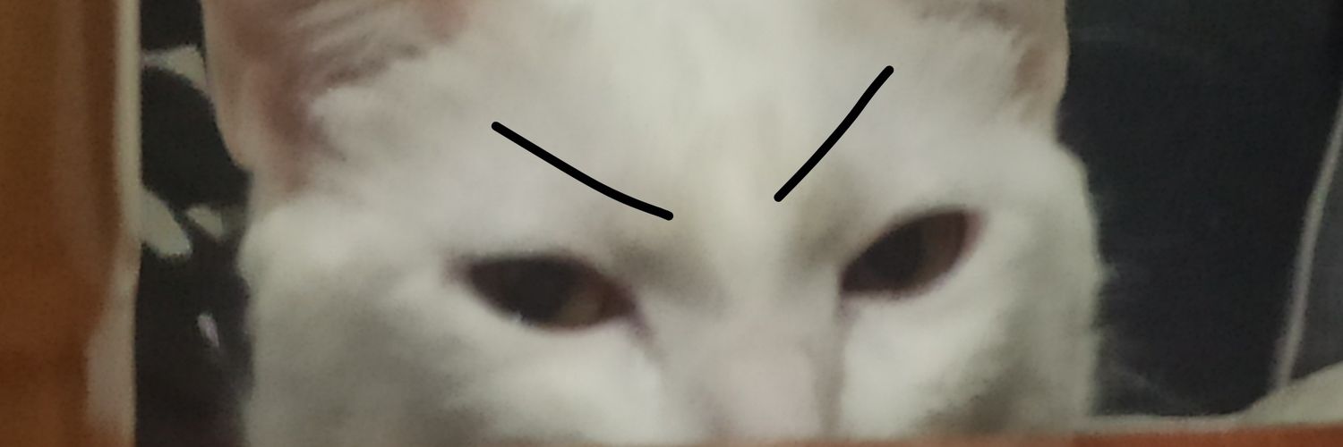 hangedwitch banner