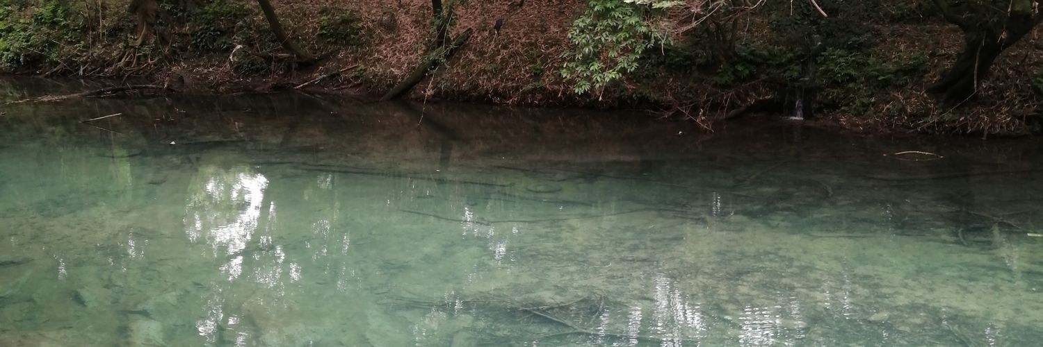 NeotazSaul's profile banner image