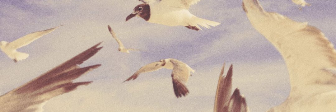 ✧ matheus 🌊 banner