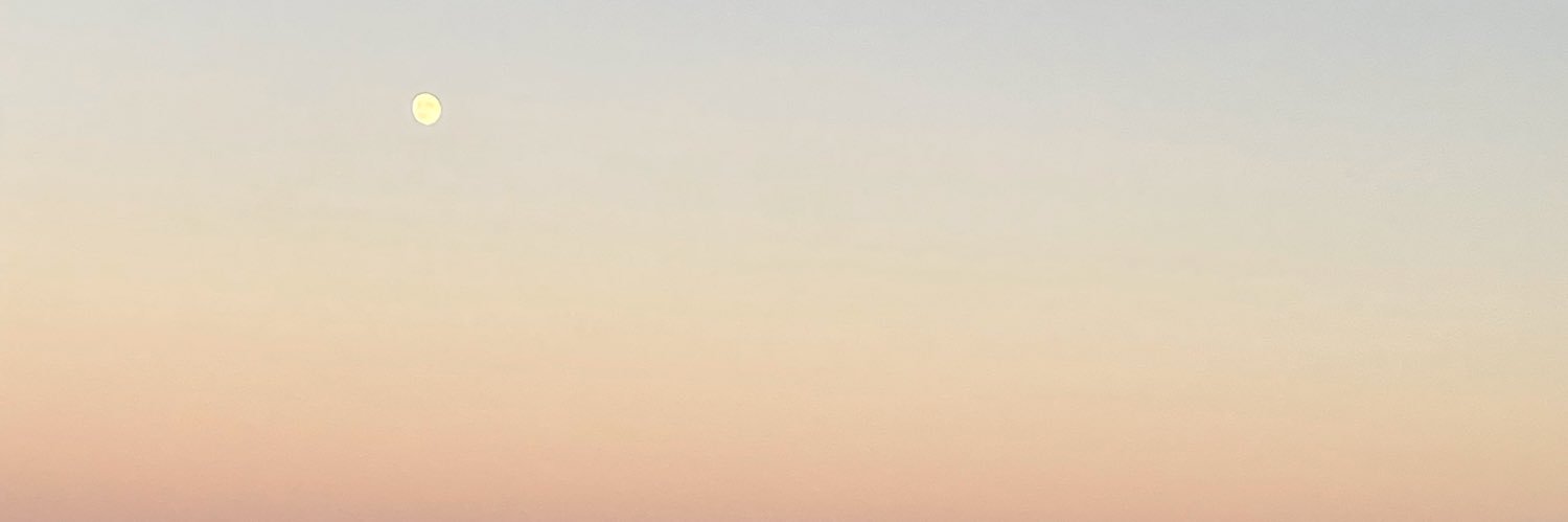 BrunaHandel's profile banner image