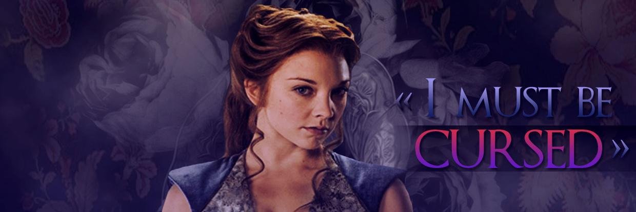 MargaeryTy's profile banner image