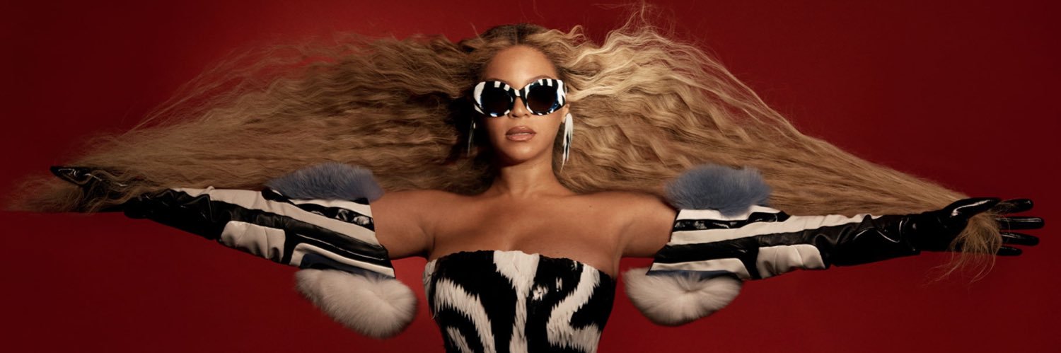 COWBOY DOM 𐚁 banner