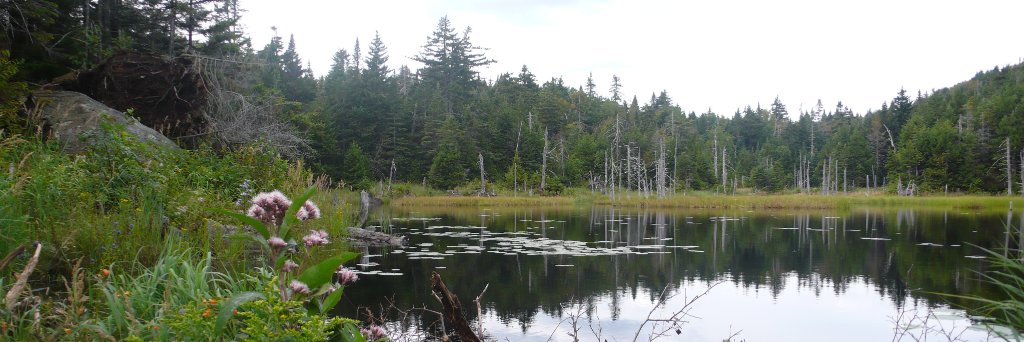 Non-Correlating Stock Ideas banner