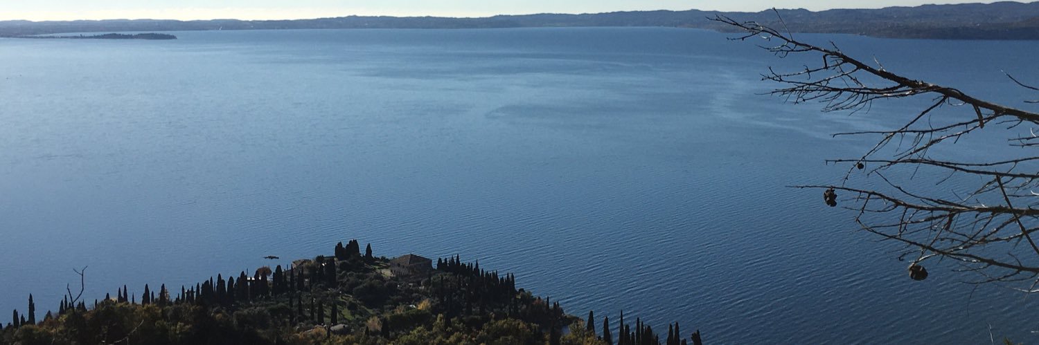 cibelledardidasilva banner